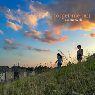 forget-me-not