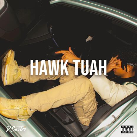 Hawk Tuah | Boomplay Music