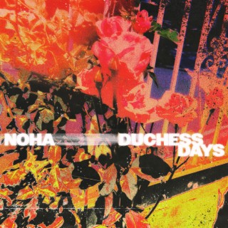 Duchess Days (Single Mix) lyrics | Boomplay Music