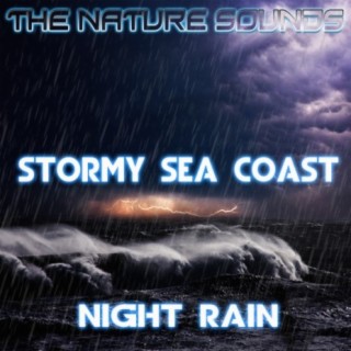 Stormy Sea Coast Night Rain
