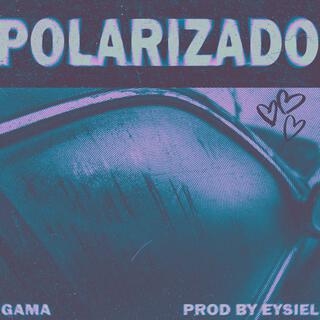 POLARIZADO