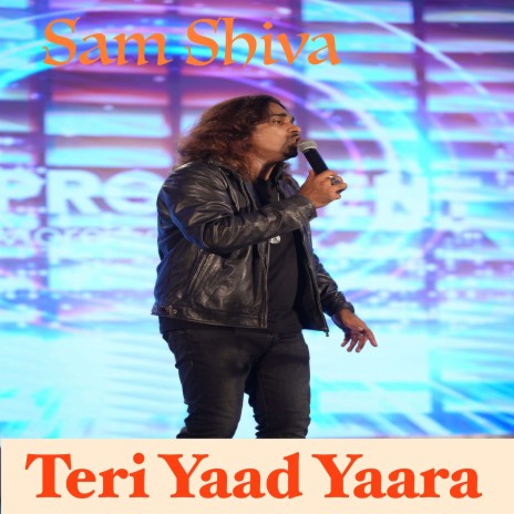 Teri Yaad Yaara | Boomplay Music