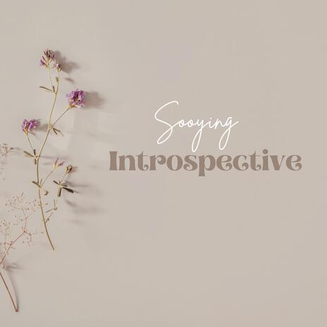 Introspective | Boomplay Music