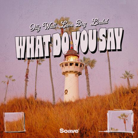 What Do You Say ft. Lane Boy & Lindal | Boomplay Music