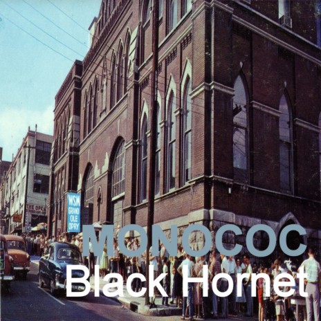 Black Hornet | Boomplay Music