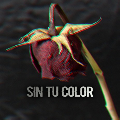 Sin Tú Color | Boomplay Music