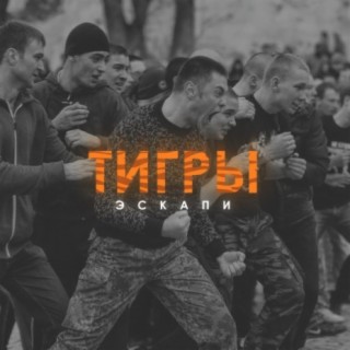 Тигры