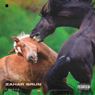 Zahar Brun