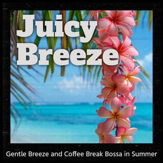 Gentle Breeze and Coffee Break Bossa in Summer