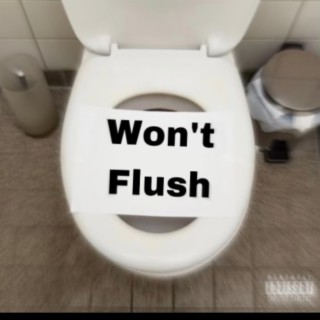 Wont Flush