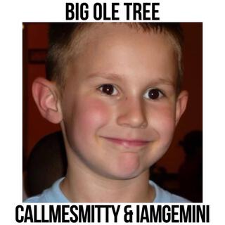 BIG OLE TREE ft. IAMGEMINI lyrics | Boomplay Music