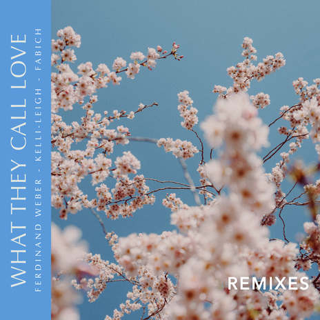 What They Call Love (Audra Remix) ft. Ferdinand Weber & Kelli-Leigh | Boomplay Music