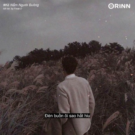 Kẻ Nắm Người Buông (Lofi) ft. Orinn & Freak D