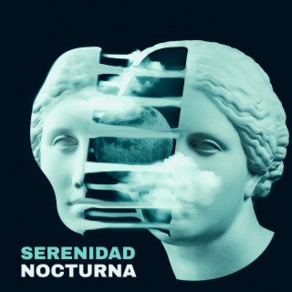 Serenidad Nocturna: Música Tranquila para Relajarse, Meditar y Bien Dormir