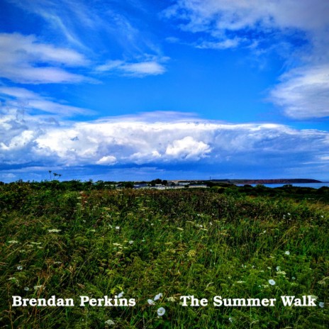 The Summer Walk | Boomplay Music