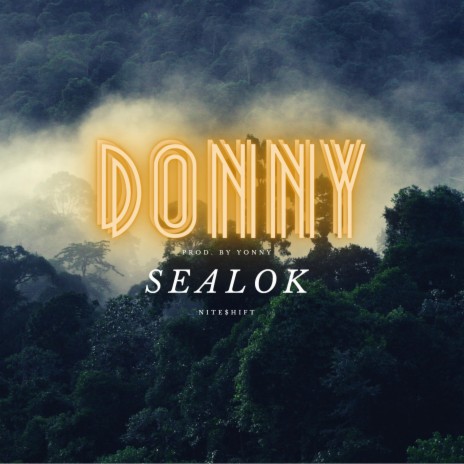 DONNY ft. SEALOK | Boomplay Music