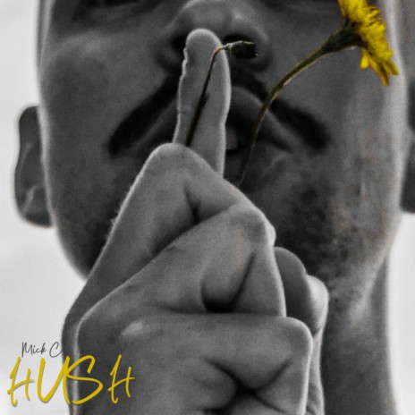 Hush | Boomplay Music