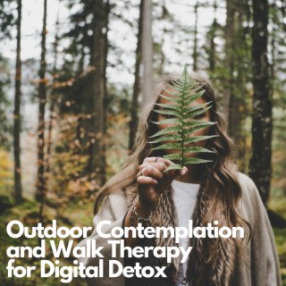 Outdoor Contemplation and Walk Therapy for Digital Detox
