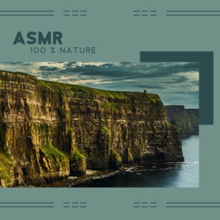 ASMR 100 % Nature: Personal Attention & Birds, Water, Rain, Ocean Waves Sounds