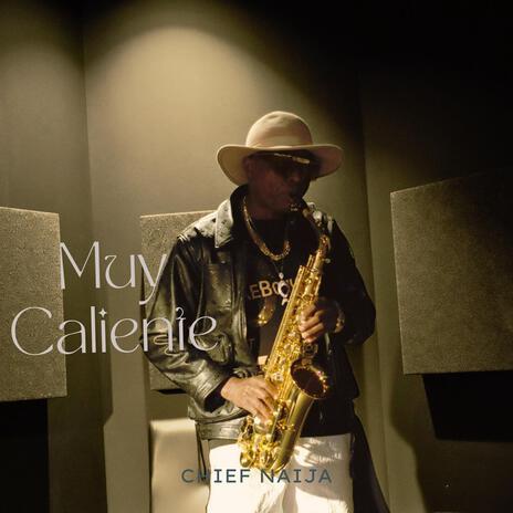 Muy Caliente (Hype Edition) | Boomplay Music