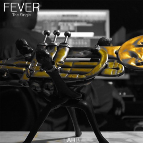 Fever | Boomplay Music