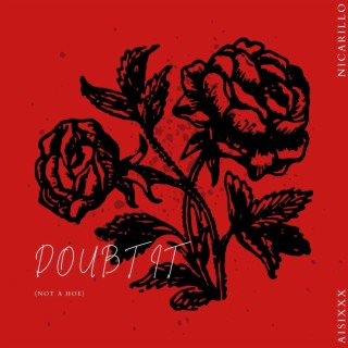 DOUBT IT NOT A HOE ft. NICARILLO lyrics | Boomplay Music