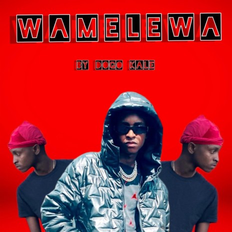 WAMELEWA | Boomplay Music