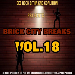 Brick City Breaks, Vol. 18