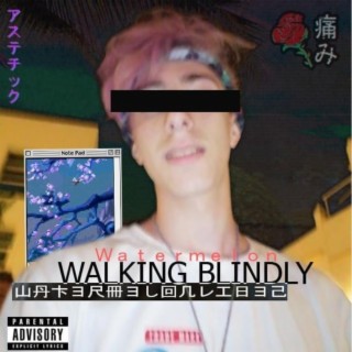 Walking Blindly