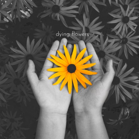 Dying Flowers | Boomplay Music