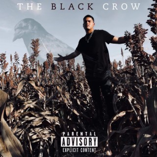 The Black Crow