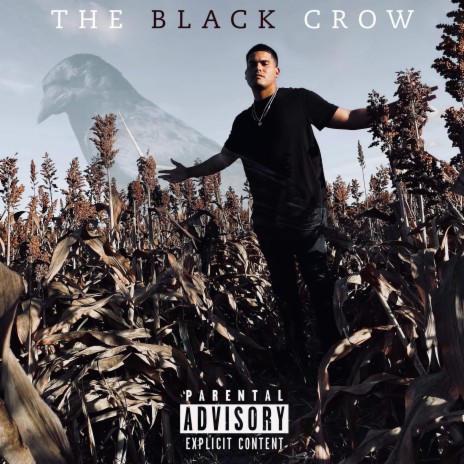 The Black Crow | Boomplay Music