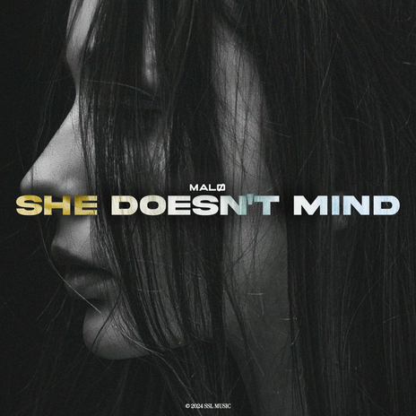 She Doesn't Mind | Boomplay Music