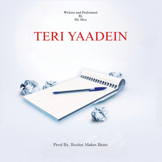 TERI YAADEIN