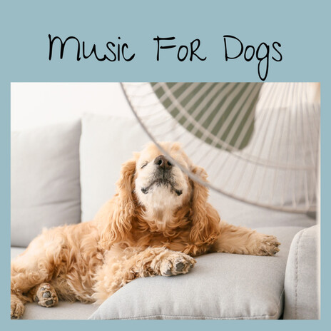 Puppy Vibes ft. Music For Dogs Peace, Relaxing Puppy Music & Calm Pets Music Academy | Boomplay Music