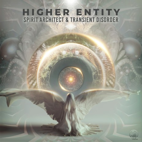 Higher Entity ft. Transient Disorder | Boomplay Music