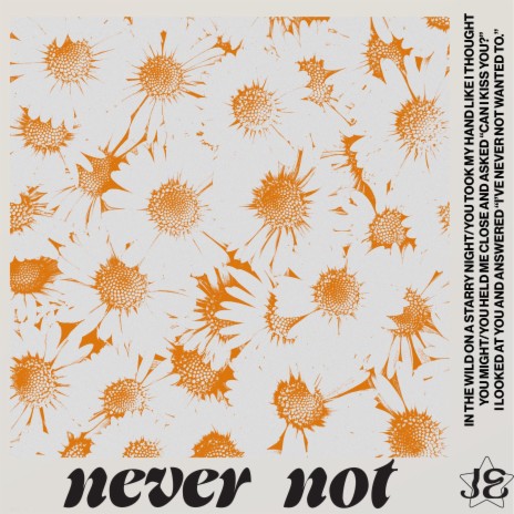 Never Not | Boomplay Music