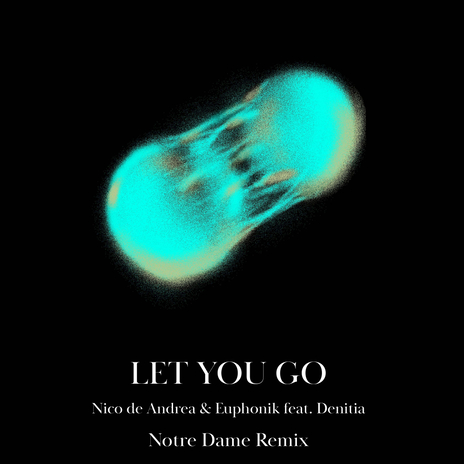 Let You Go (Notre Dame Remix) ft. Euphonik & Denitia | Boomplay Music