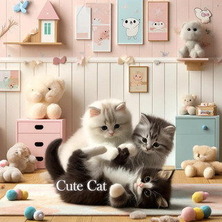 cute cat