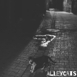 ALLEYCATS