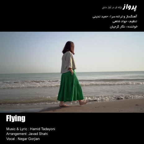Flying پرواز | Boomplay Music
