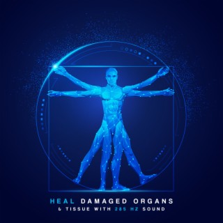Heal Damaged Organs & Tissue with 285 Hz Sound