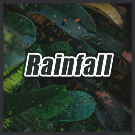 Rain Sounds Of Life