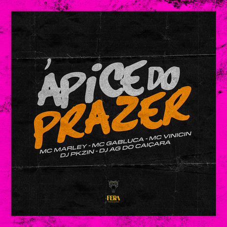 Ápice do Prazer ft. MC Gabluca, Dj Pkzin, MC Vinicin & Dj AG do Caiçara | Boomplay Music