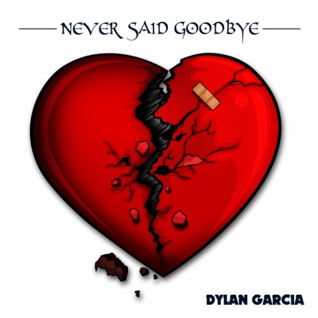 Never Said Goodbye | Boomplay Music