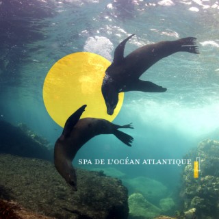 Spa de l'océan Atlantique: Bruits d'animaux marins, Eau relaxante pour le bien-être