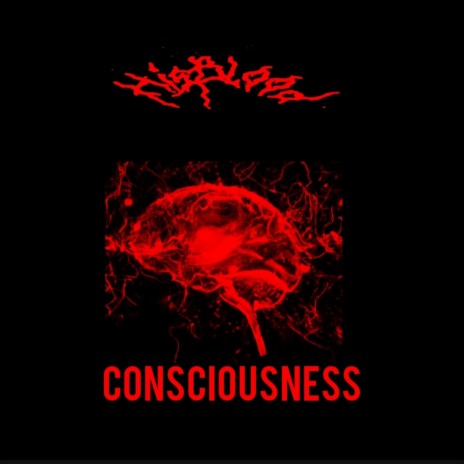 consciousness