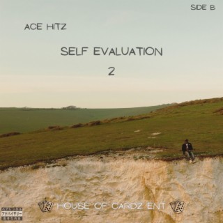 Self Evaluation 2