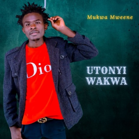 Utonyi Wakwa | Boomplay Music