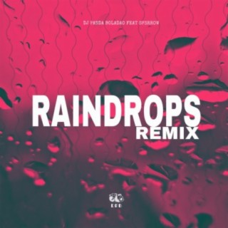 Raindrops (Remix)